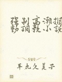 强制高潮捆绑震动调教小说封面