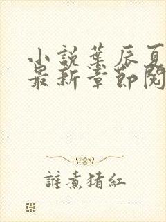 小说叶辰夏若雪最新章节阅读封面