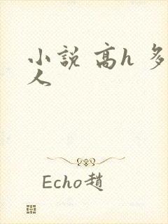 小说 高h 多人
