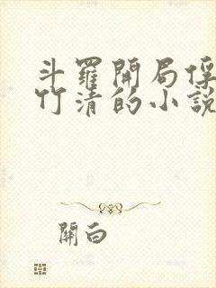 斗罗开局俘获朱竹清的小说