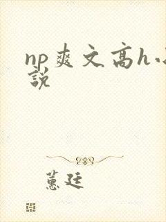 np爽文高h小说