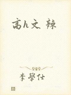 高h文 辣