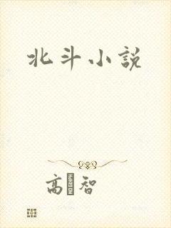 北斗小说