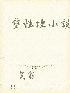 双性攻小说h封面