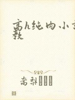 高h纯肉小说调教