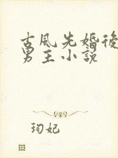 古风先婚后爱双男主小说