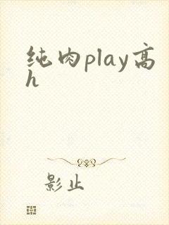 纯肉play高h封面