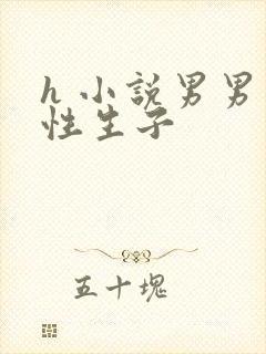 h 小说男男双性生子