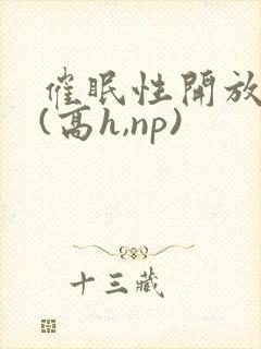 催眠性开放世界(高h,np)封面