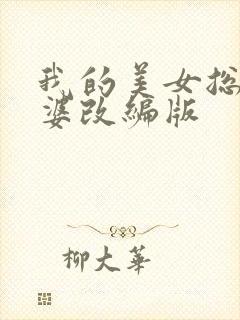 我的美女总裁老婆改编版封面