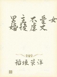 男主不爱女主的婚后虐文封面