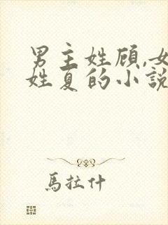 男主姓顾,女主姓夏的小说封面