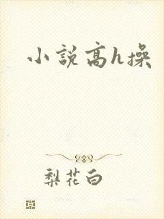 小说高h操