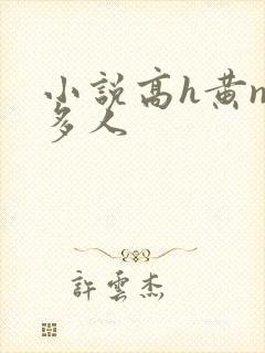 小说高h黄np多人封面