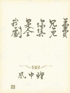 我是你兄弟电视剧全集免费观看高清封面