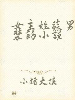 女主姓苏男主姓裴的小说