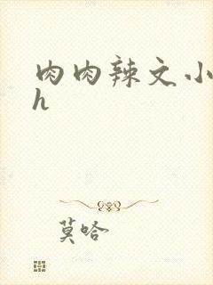 肉肉辣文小说高h