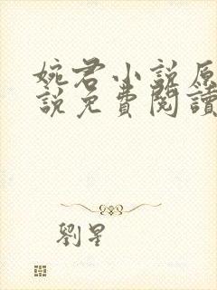 婉君小说原著小说免费阅读