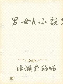 男女h小说父女封面