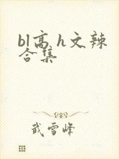 bl高 h文辣合集封面
