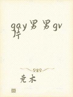 gay男男gv片