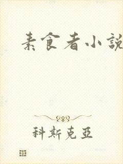 素食者小说