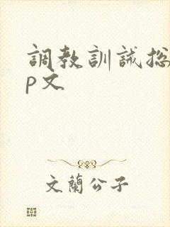 调教训诫总裁sp文