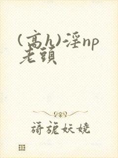 (高h)淫np老头