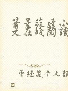 萧晨苏晴小说全文在线阅读