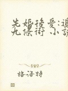 先婚后爱:追妻九条街 小说完整免费