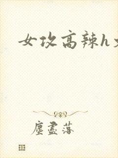 女攻高辣h文