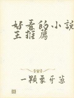 好看的小说双男主推荐封面