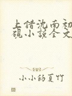 上错沈南初陆时砚小说全文免费阅读