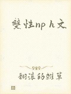 双性np h文