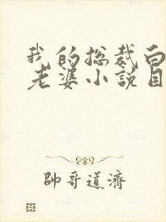 我的总裁白富美老婆小说目录章节