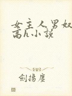 女主人男奴调教高h小说