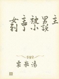 女主被男主们找到了小说封面