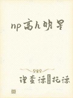 np高h明星