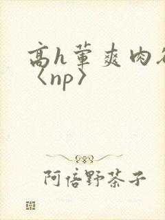 高h荤爽肉欲文〈np〉