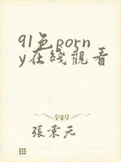 91色porny在线观看
