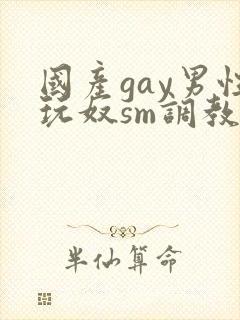 国产gay男性玩奴sm调教视频