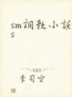 sm调教小说男s