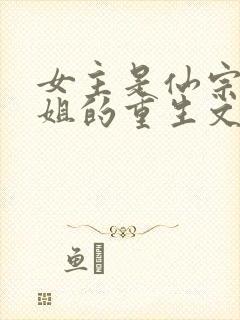 女主是仙宗大师姐的重生文