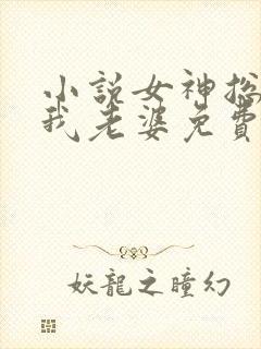 小说女神总裁是我老婆免费阅读