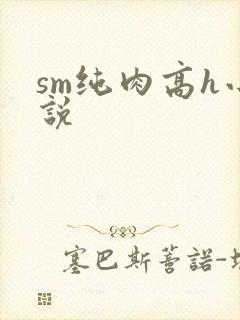 sm纯肉高h小说
