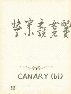 快穿之女配又跪了小说免费阅读封面