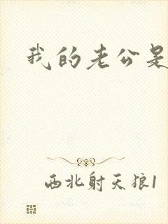 我的老公是只狗