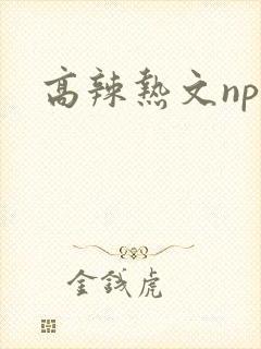 高辣热文np