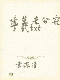 亿万老公宠上瘾下载txt