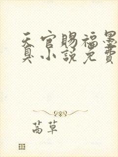 天官赐福墨香铜臭小说免费无弹窗